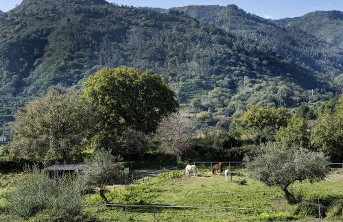 Villa Idyllica - Foto 10