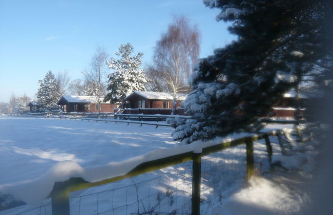 Spacious Cottage With Sauna Looking out on Astonishing Grasslands - Photo 67