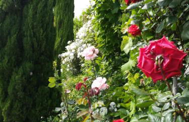 Bancal de Los Pérez - Foto 3