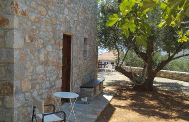 Studio Tsiliviani - Foto 17