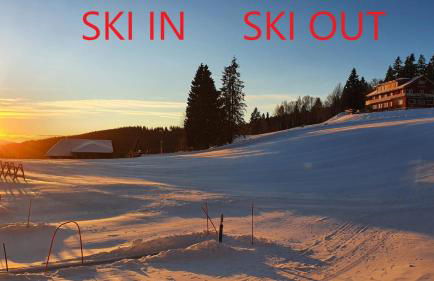 Residenz Grafenmatt Feldberg - Foto 36