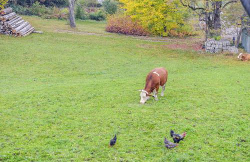 Ferienwohnung Sommerwind - Photo 25