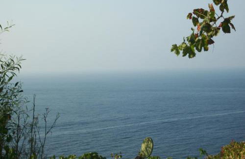 Niriides Studios - Foto 22