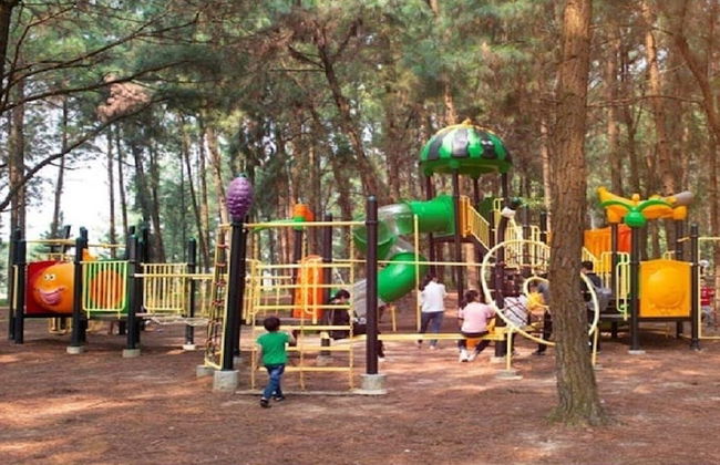 Villa Flamigo Dai Lai Chinh Chu - Photo 80