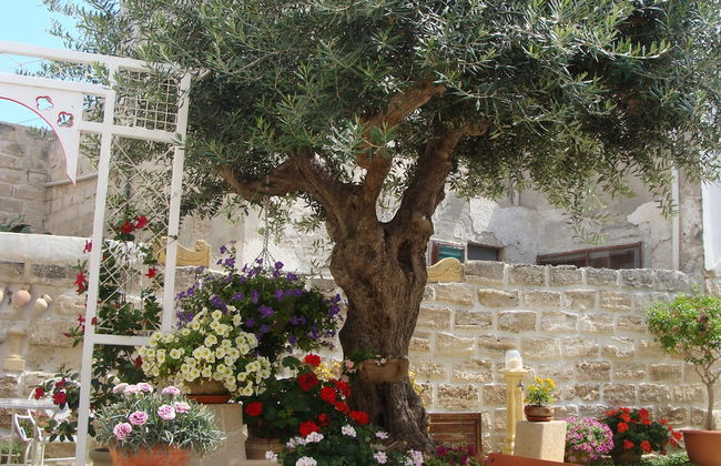 Guest House Al Gattopardo - Photo 14