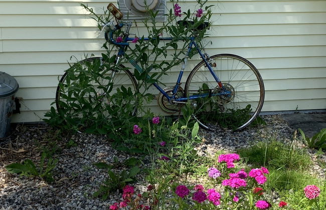 Denmark Stage Stop House - Photo 76