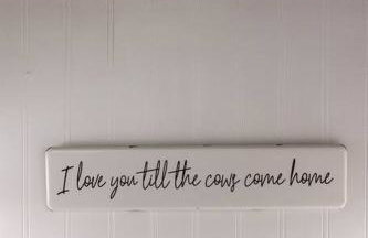 Minutes to Opry, Airport & Broadway - Foto 72