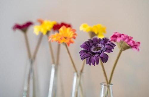 Apartamentos Fuentes de la Hoz - Foto 41