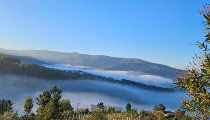 Coja Mountain Perch - Foto 3, Garden