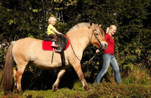 Urlaub auf dem Haberlhof - Foto 39