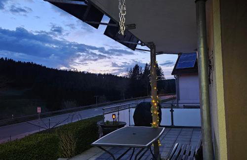 Eichhörnchen-Haus Körner im Schwarzwald - Foto 2