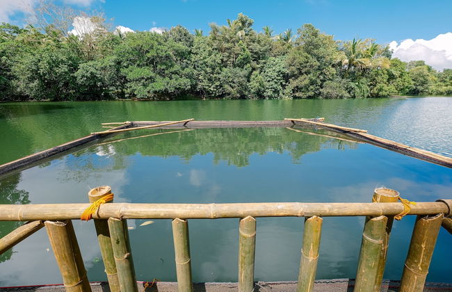 Almost Heaven Lake Resort by Cocotel - Photo 52