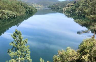 Canto do Zêzere, Sertã, Dornes, Castelo do Bode - Foto 47