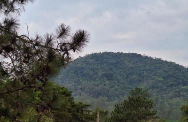 Suite chalé da montanha - Foto 12