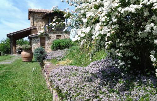 Agriturismo Casa Fibbianello - Foto 7