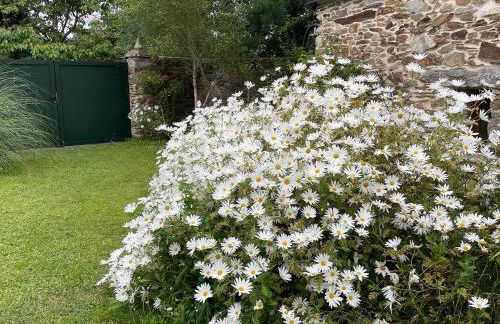 AT El Manzano - Jardín & BBQ - Los Gayoles Rural - Foto 6