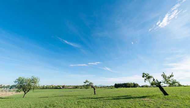 Granja - Villa With Private Pool In Inca - Foto 2, Exterior