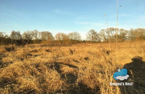 Dragon’s Nest: Cozy & modern attic loft Nuremberg - Foto 84