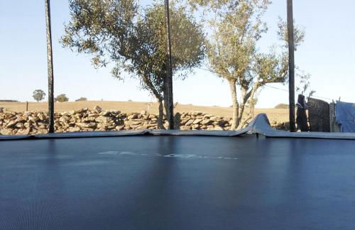 Monte das Doceitas - Foto 14