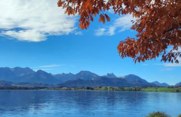 Ferienhaus Mayr - Ferienwohnung Bergblick - Foto 28