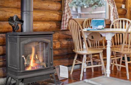 Wild Bills Cabin - Foto 15