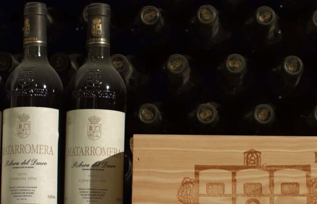 Degustazione di vino, formaggio e olio alla cantina Matarromera - Foto 1