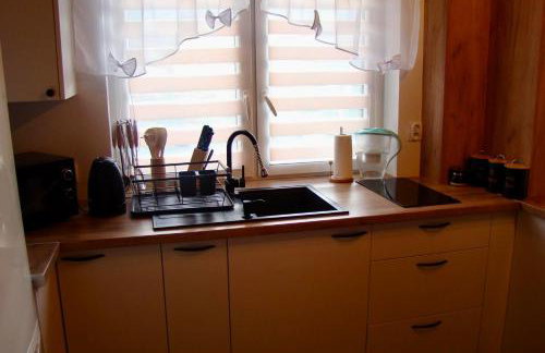 Bieszczadzki Amor - domek z jacuzzi - Foto 30