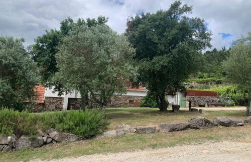 Estabulo de Valinhas - Foto 35