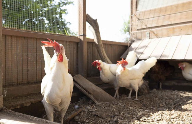 Casale Della Pergola Eco-friendly by the sea - Foto 57