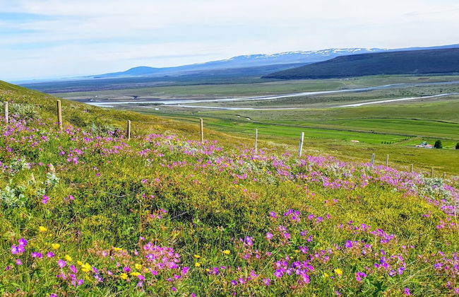 Svartaborg - Foto 35