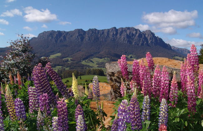 AAA Granary Accommodation - Foto 1