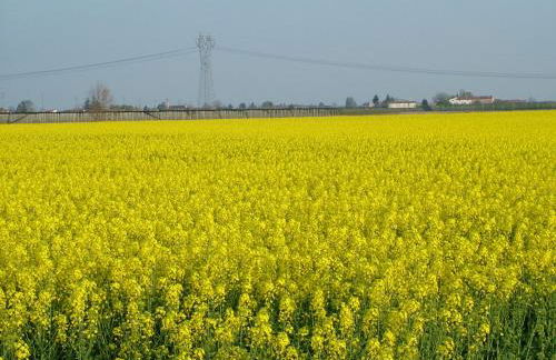 Agriturismo BB Mambrotta - Foto 64