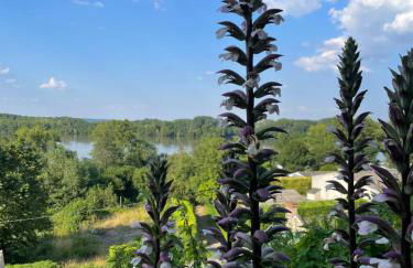Gite des Perreyeurs - maison troglodyte avec vue sur Loire - Foto 22