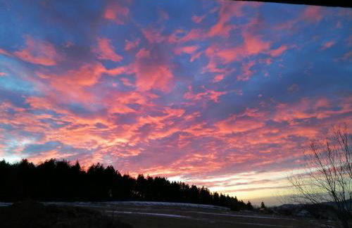 Wild Life Ranch - Foto 31