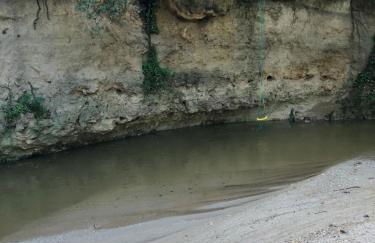 L'Olivier Fleurie Barjols - Foto 15