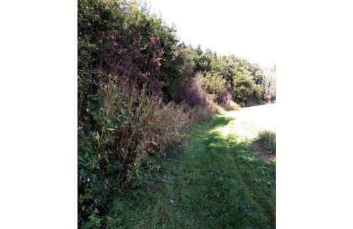 Weide Comfortable holiday residence - Foto 31