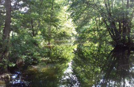 Apartment Kletterrose, Seenähe, Mecklenburgische Seenplatte - Foto 17