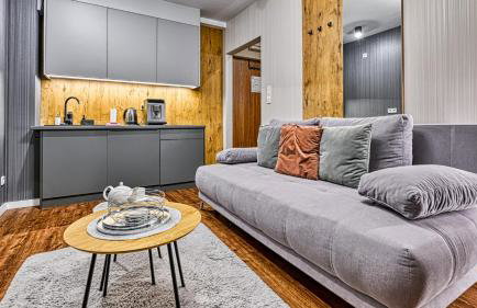 Apartament SPA 56 Resort Kozubnik blisko Szczyrk - 5D Apartamenty - Foto 4