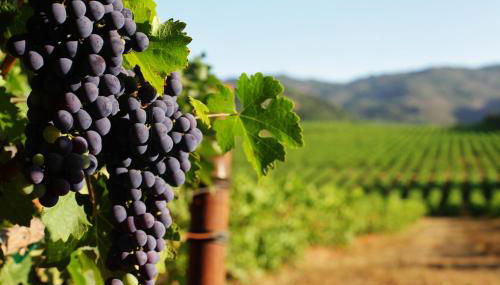 James House - Foto 2