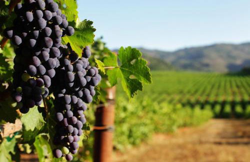 James House - Foto 2