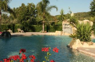 Residence Villa Rosi - Foto 36