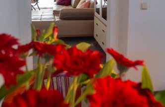 Ferien unnern Appelboom (80m2 Wohnung mit großem Garten) - Foto 7