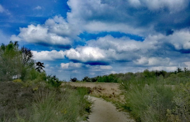 Single-storey House With Garden, in a Natural Area - Photo 17