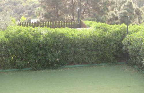 Holiday Home El Brezal - Foto 60