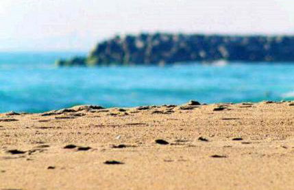 ten2twelve - Foto 77