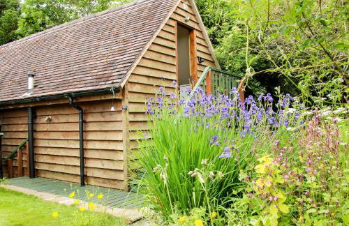 Milford Tree Tops - Foto 1