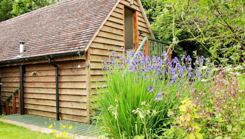 Milford Tree Tops - Foto 1