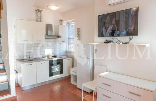 Giglio Blu 5 - Foto 15