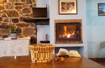 Apartamentos La Plazuela - Foto 42