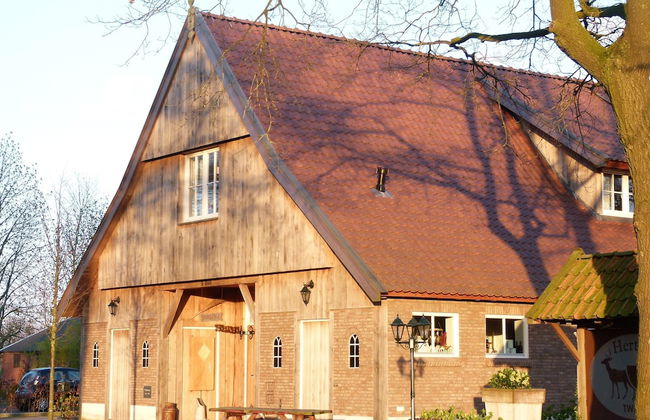 Holiday Home in Geesteren With Terrace - Photo 1